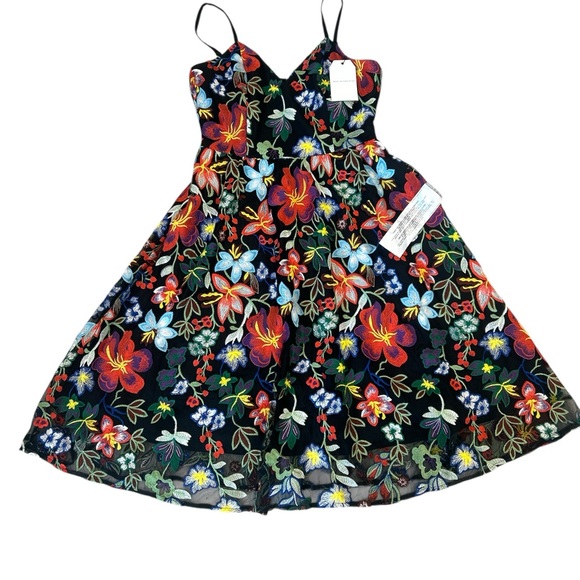 Dress the Population large Floral Dress - Black and Multicolor - Picture 1 of 3